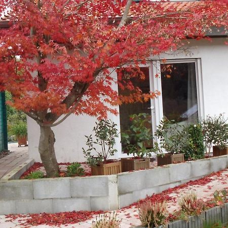 Haus Magnolia 2 Apartment Kandern Luaran gambar