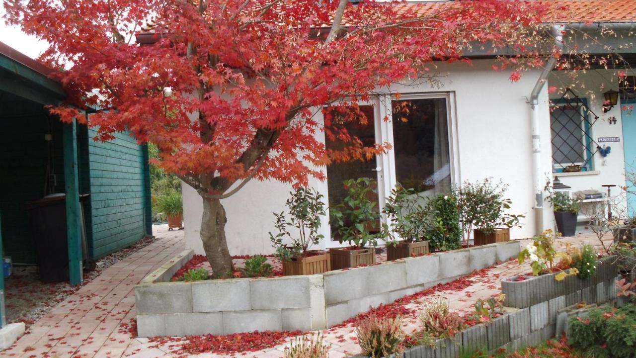 Haus Magnolia 2 Apartment Kandern Luaran gambar