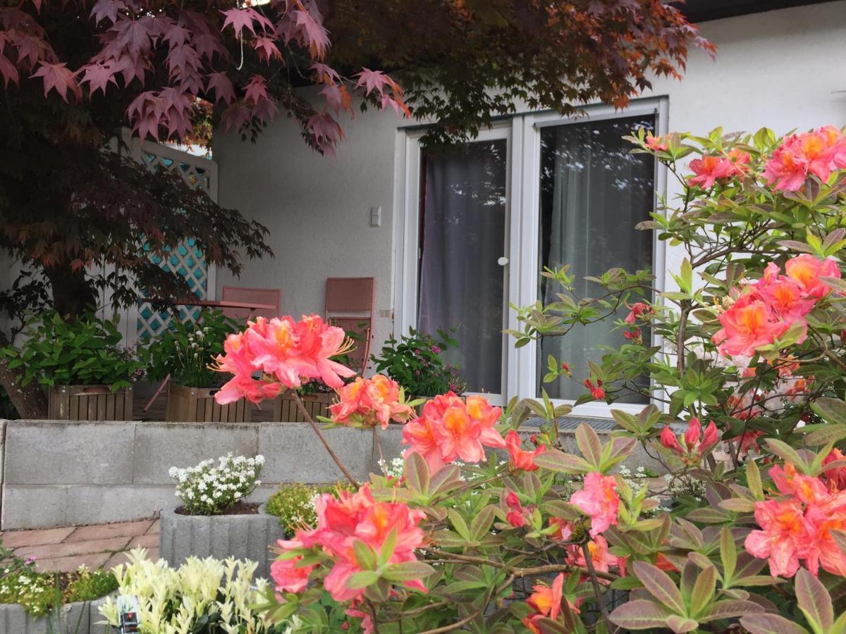 Haus Magnolia 2 Apartment Kandern Luaran gambar
